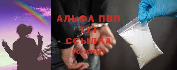 прущие грибы Зерноград