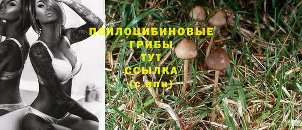 прущая мука Зеленокумск